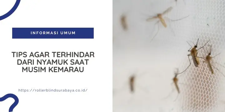 Tips Agar Terhindar dari Nyamuk Saat Musim Kemarau