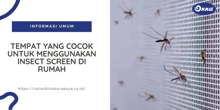 Tempat yang Cocok untuk Menggunakan Insect Screen di Rumah