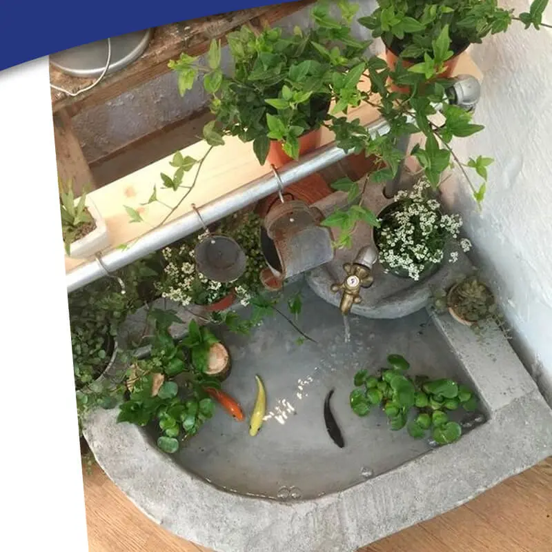 Kolam Ikan dengan desain minimalis dan mewah 