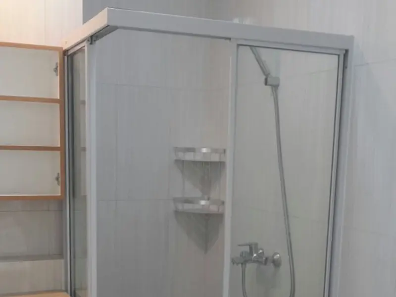 Shower Screen