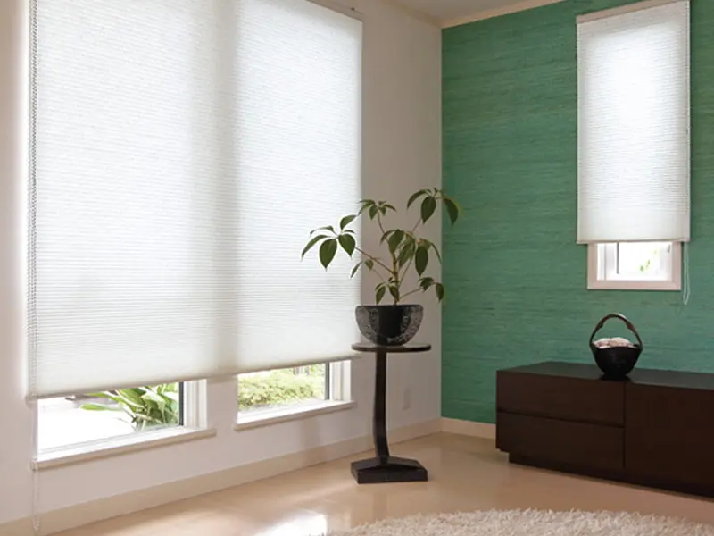 Honeycomb Blinds